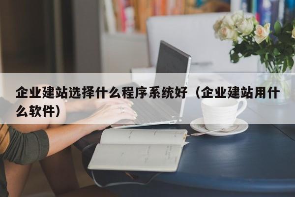 企业建站选择什么程序系统好(企业建站用什么软件)