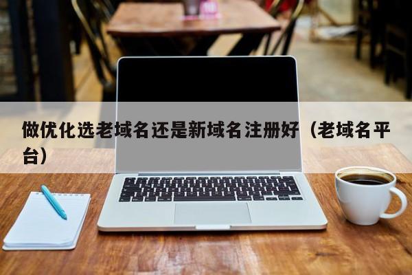 做优化选老域名还是新域名注册好(老域名平台)